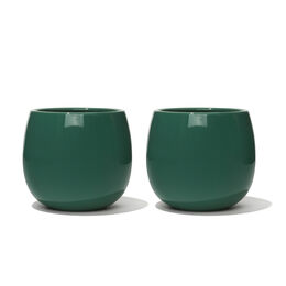 Bubble cup Glossy Green Forest