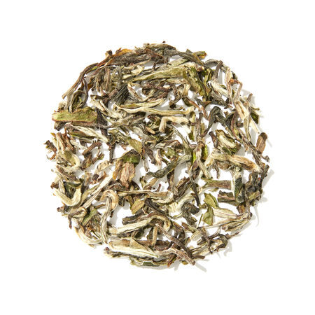 Organic Nepal White Tea