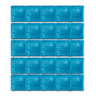 Boîte de 25 sachets de thé Avalanche de bleuets
