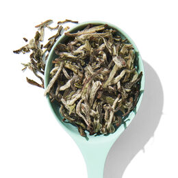 Thé blanc du Népal biologique