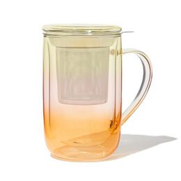 Double Walled Glass Nordic Mug Gradient SP23