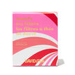 Candy Cane David's Tea Filters Pack of 100