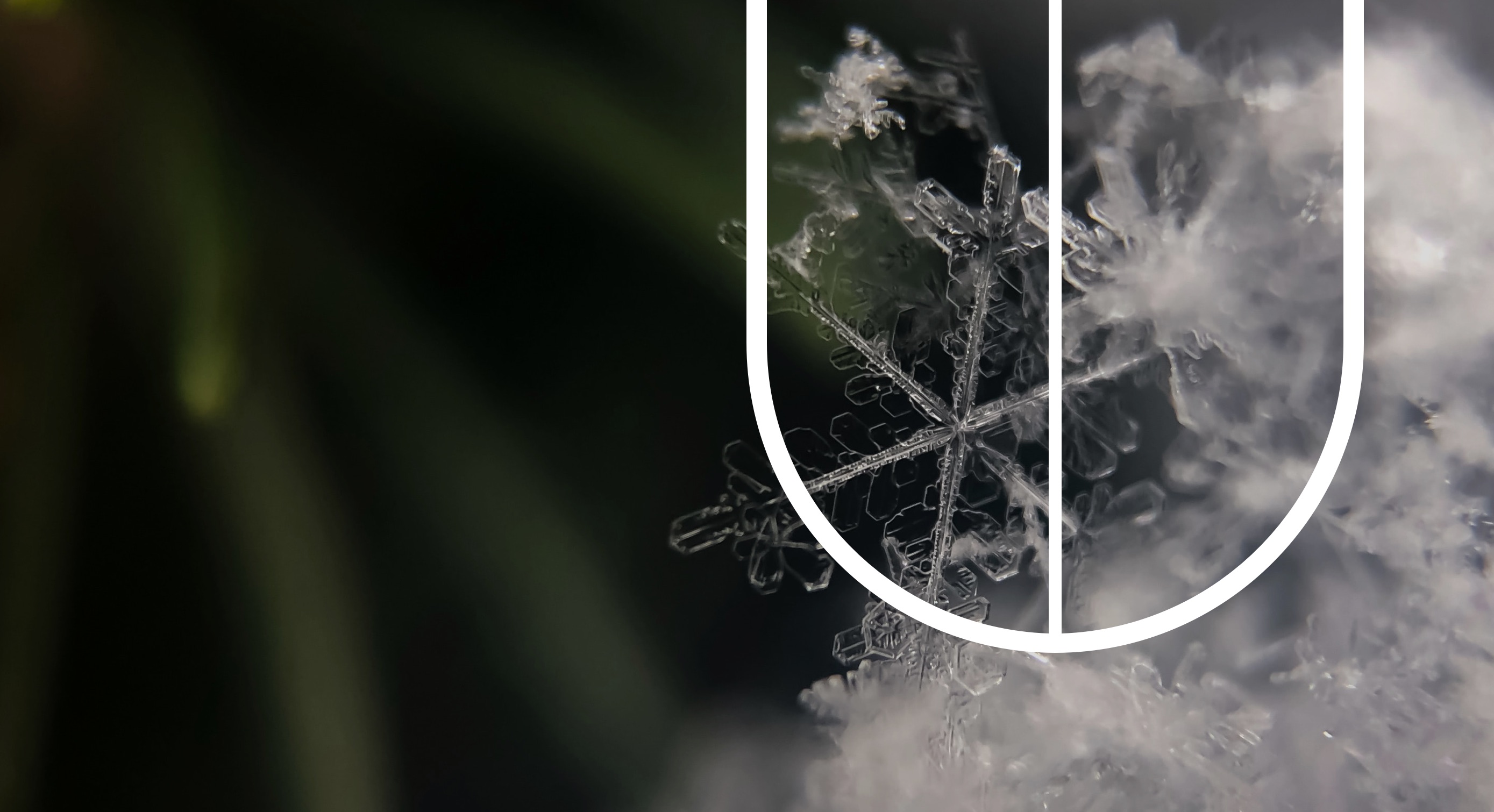 Close-up of a snow flake, with the DAVIDsTEA’s symbol for Cold & Defence laid overtop.
