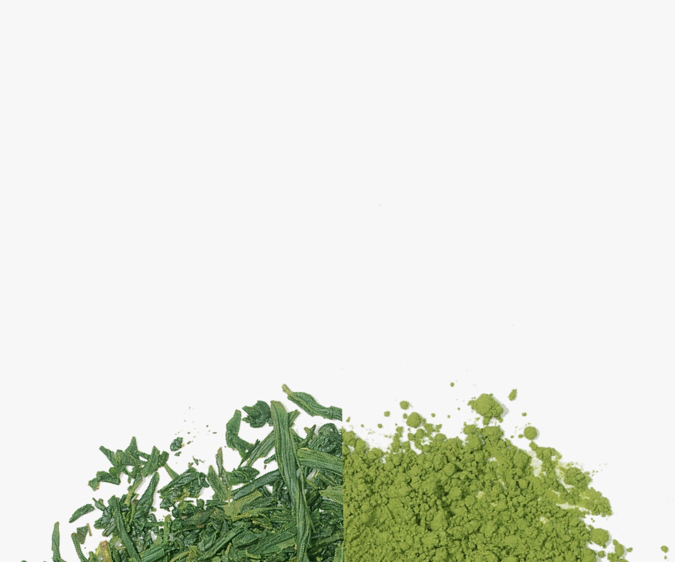 Matcha powder and matcha leaves next to each other.